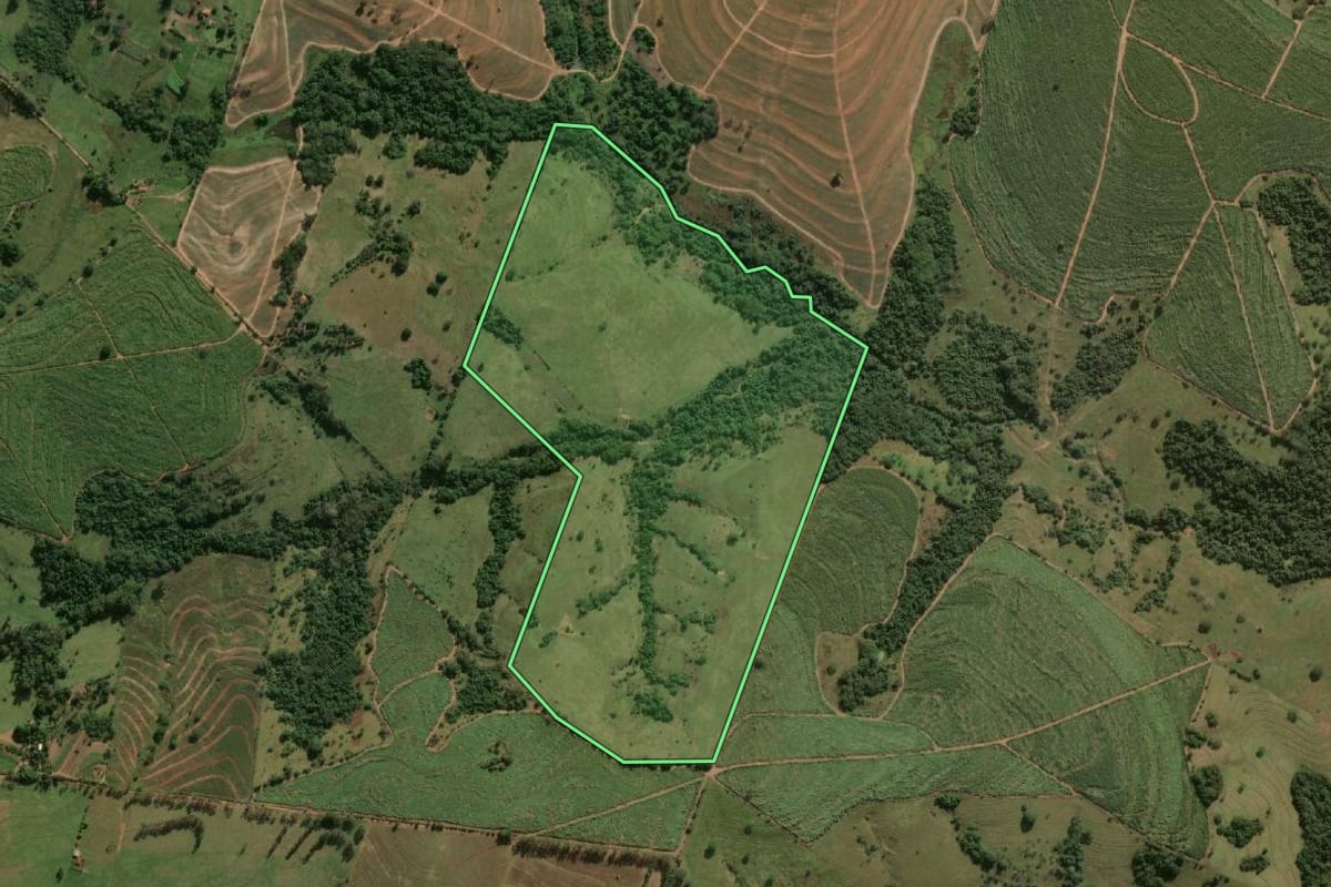 Imagem de satélite do imóvel rural em Lucélia (SP), com o contorno declarado no CAR desenhado por cima.