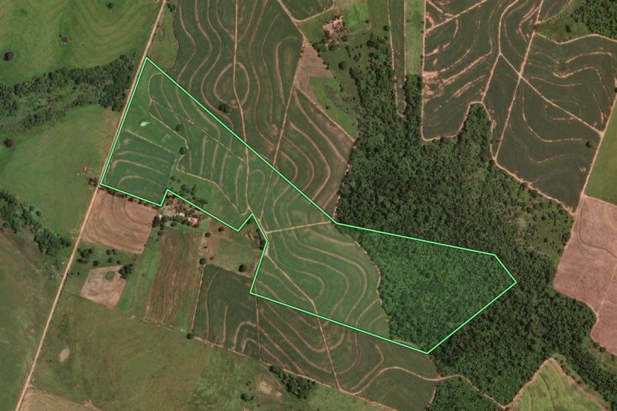 Imagem de satélite do imóvel rural em Lucélia (SP), com o contorno declarado no CAR desenhado por cima.