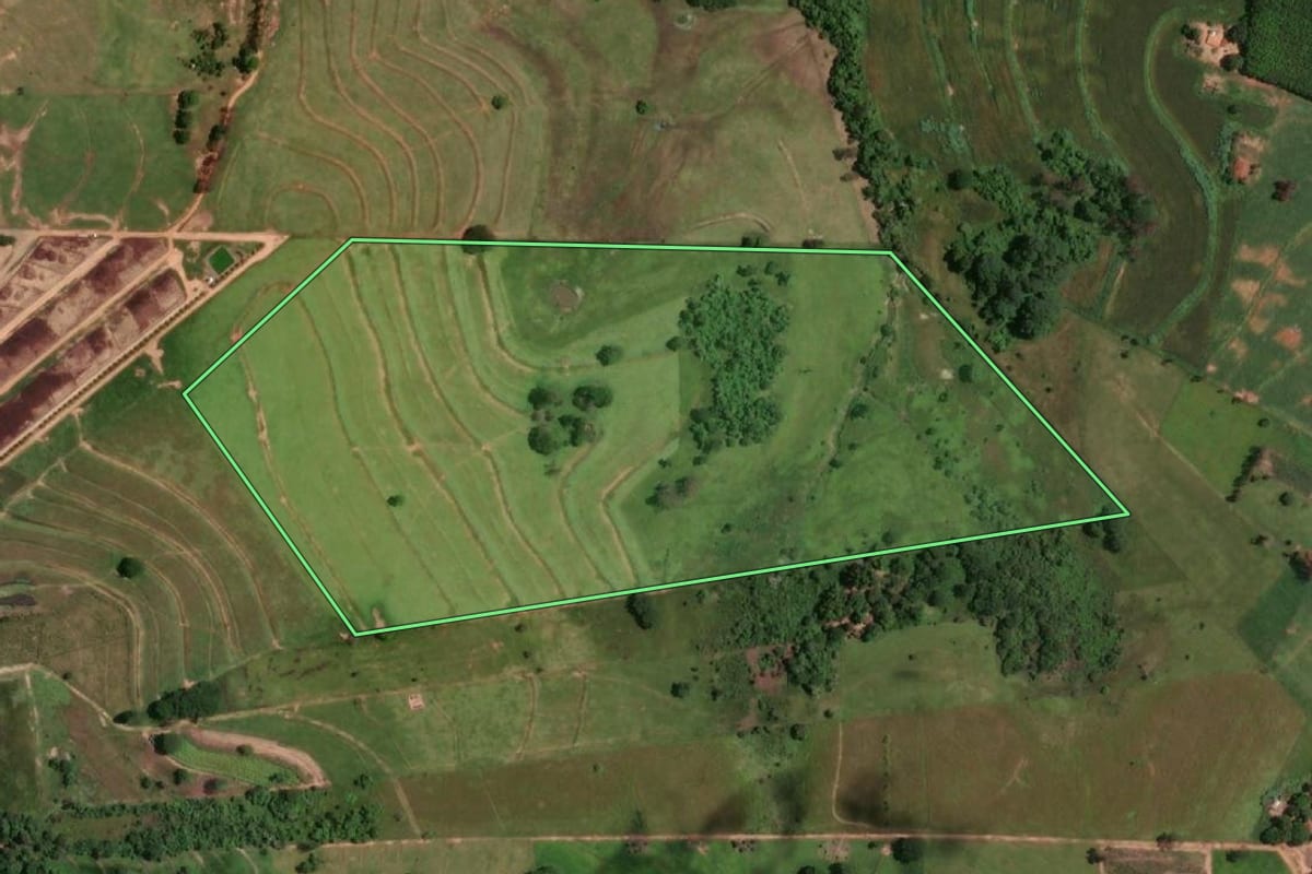 Imagem de satélite do imóvel rural em Lucélia (SP), com o contorno declarado no CAR desenhado por cima.