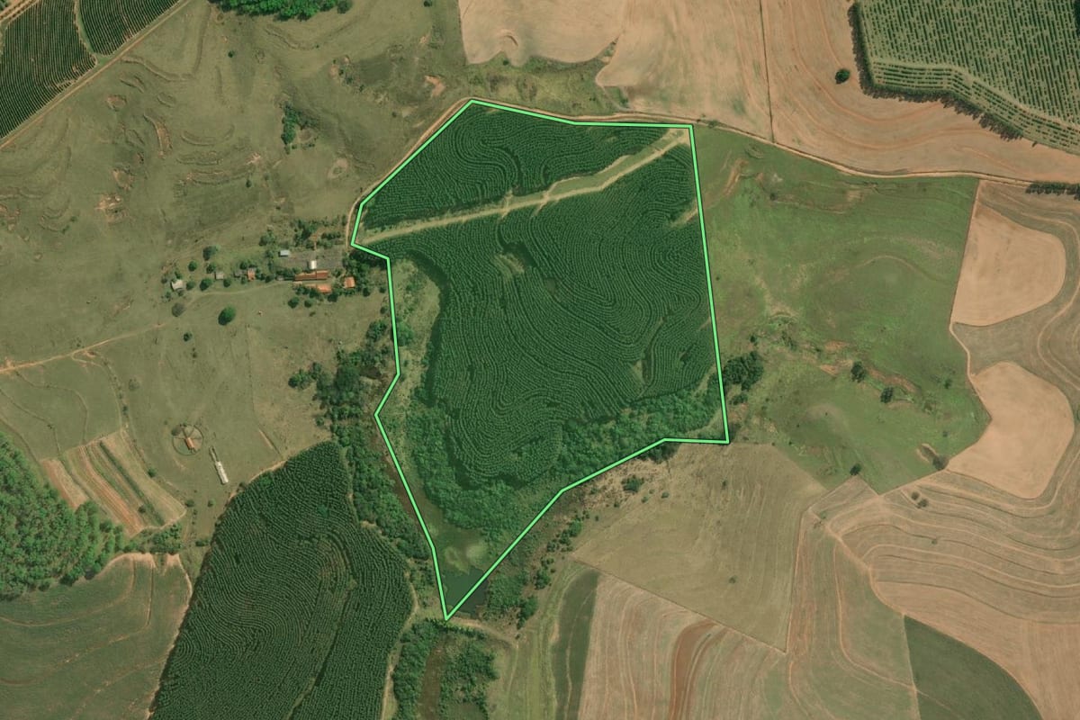 Imagem de satélite do imóvel rural em Lucianópolis (SP), com o contorno declarado no CAR desenhado por cima.