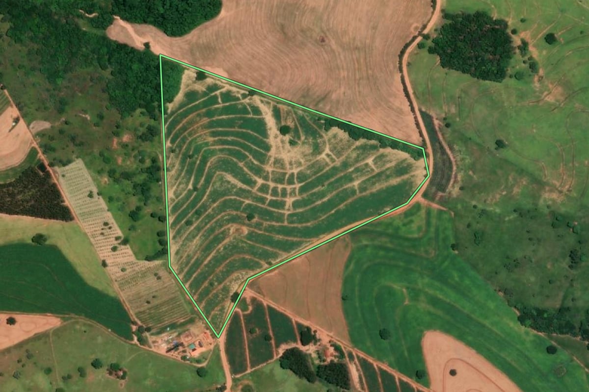 Imagem de satélite do imóvel rural em Lucianópolis (SP), com o contorno declarado no CAR desenhado por cima.