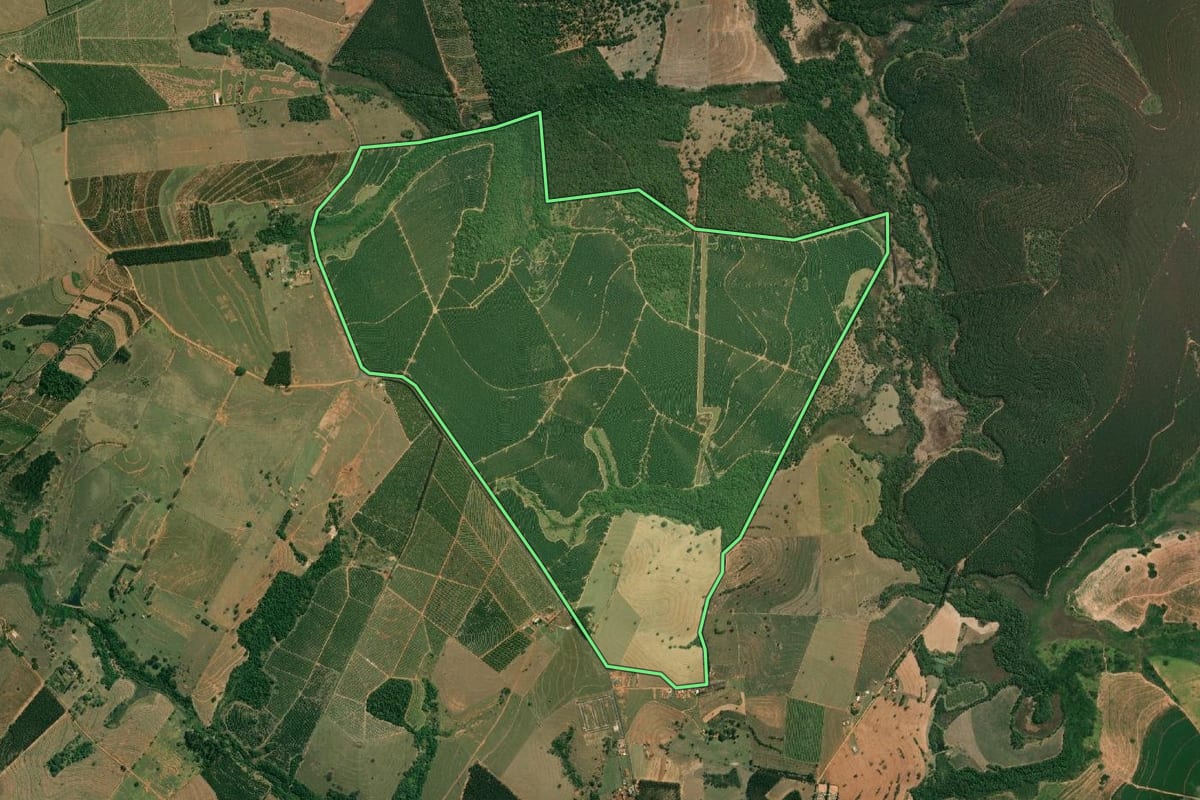 Imagem de satélite do imóvel rural em Lucianópolis (SP), com o contorno declarado no CAR desenhado por cima.
