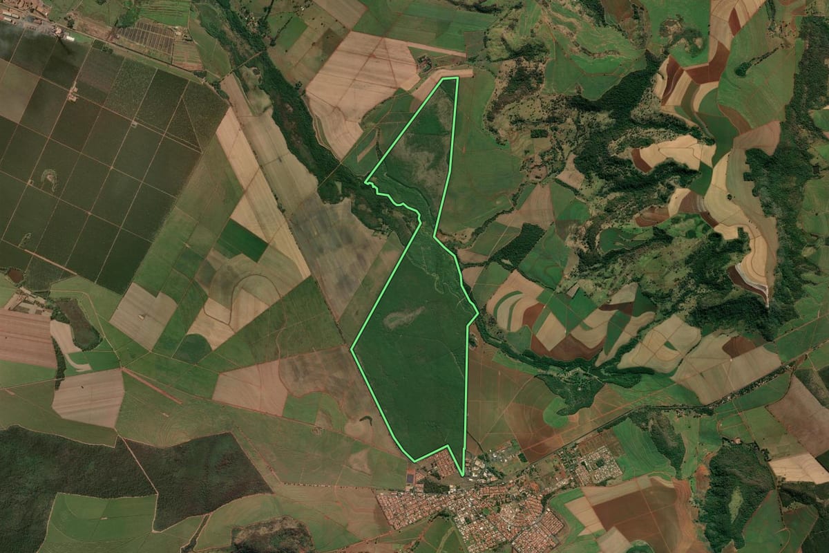 Imagem de satélite do imóvel rural em Luís Antônio (SP), com o contorno declarado no CAR desenhado por cima.
