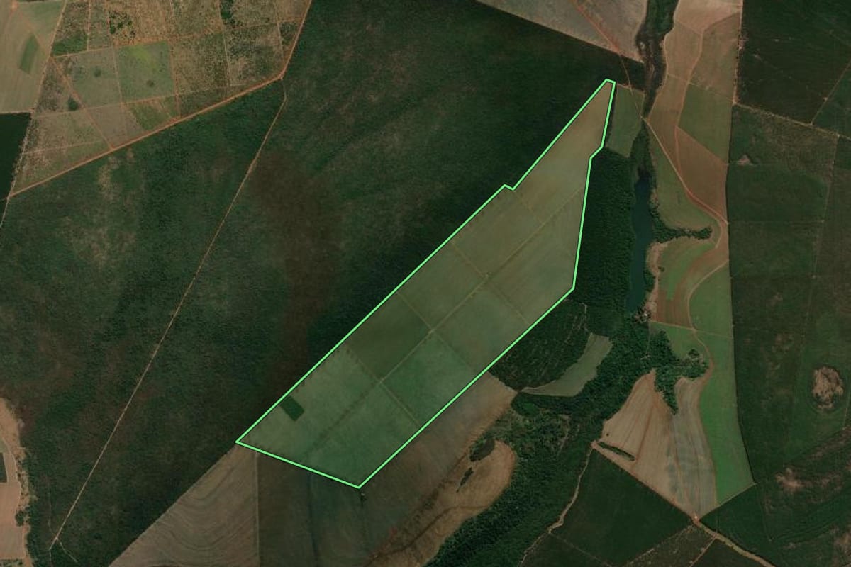 Imagem de satélite do imóvel rural em Luís Antônio (SP), com o contorno declarado no CAR desenhado por cima.