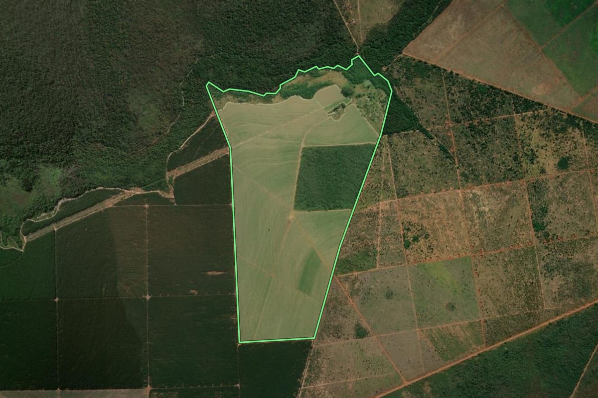 Imagem de satélite do imóvel rural em Luís Antônio (SP), com o contorno declarado no CAR desenhado por cima.