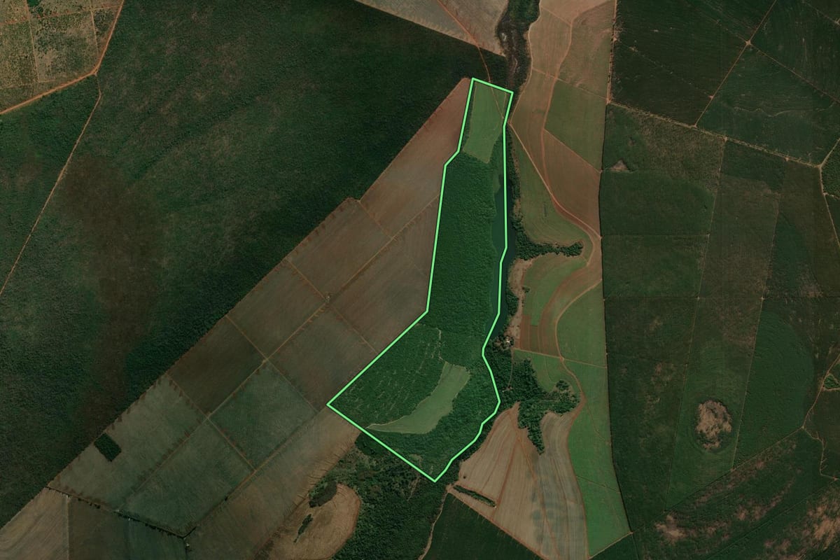 Imagem de satélite do imóvel rural em Luís Antônio (SP), com o contorno declarado no CAR desenhado por cima.