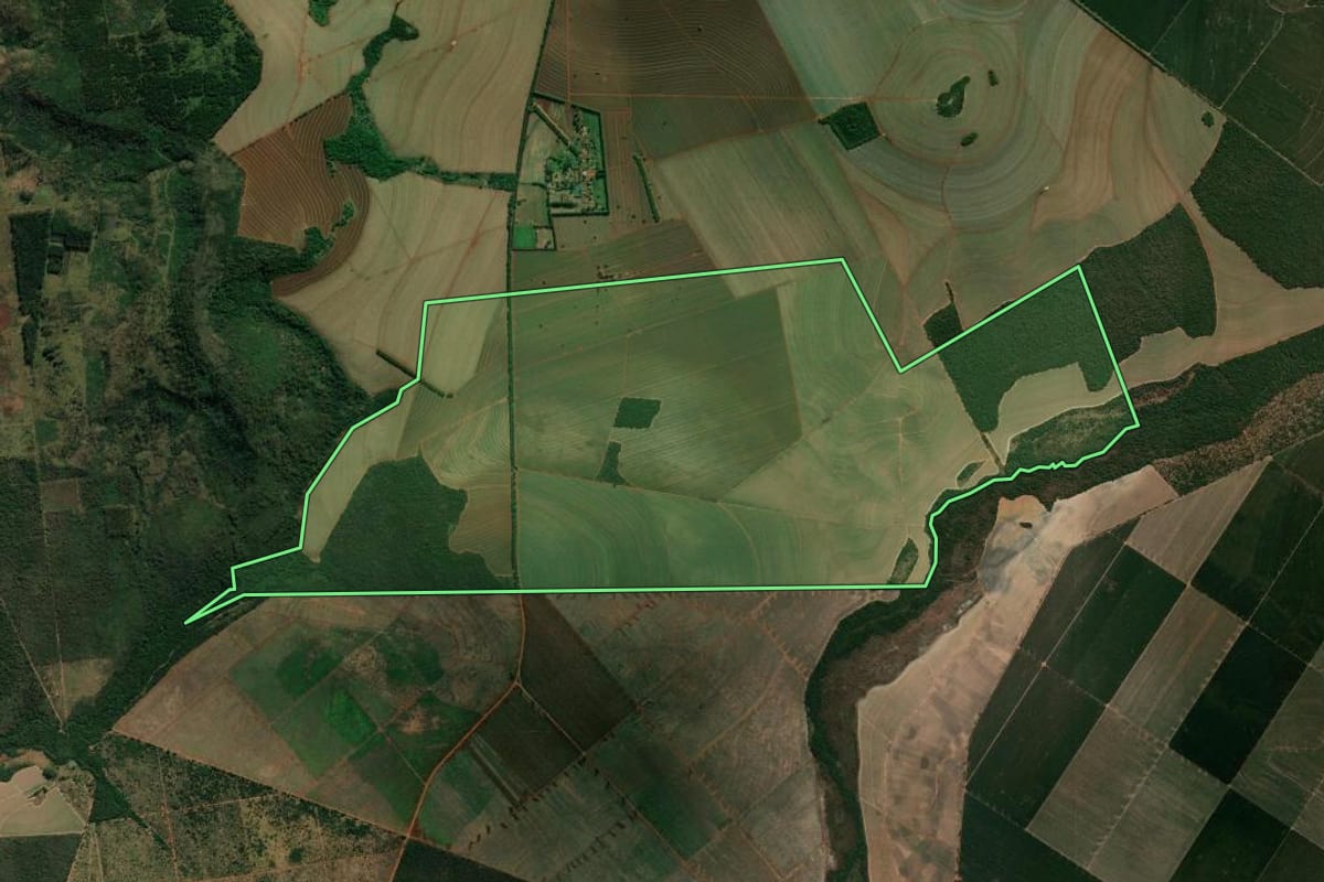 Imagem de satélite do imóvel rural em Luís Antônio (SP), com o contorno declarado no CAR desenhado por cima.