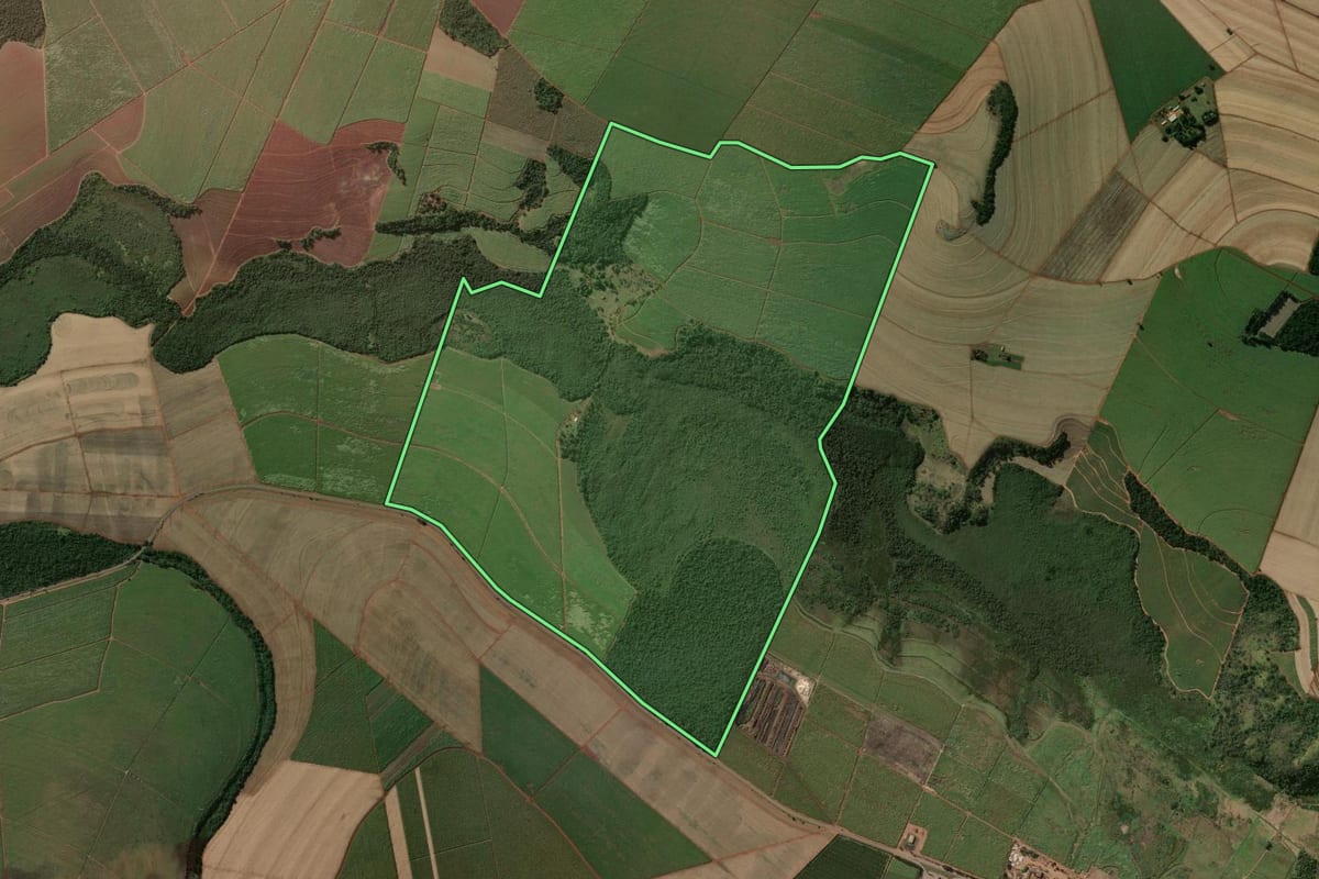 Imagem de satélite do imóvel rural em Luís Antônio (SP), com o contorno declarado no CAR desenhado por cima.