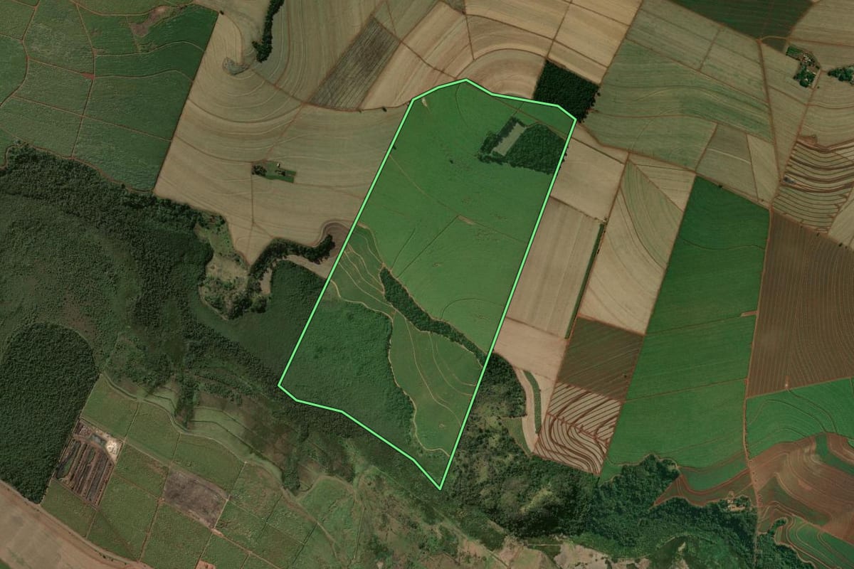 Imagem de satélite do imóvel rural em Luís Antônio (SP), com o contorno declarado no CAR desenhado por cima.
