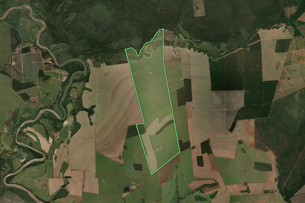 Imagem de satélite do imóvel rural em Luís Antônio (SP), com o contorno declarado no CAR desenhado por cima.