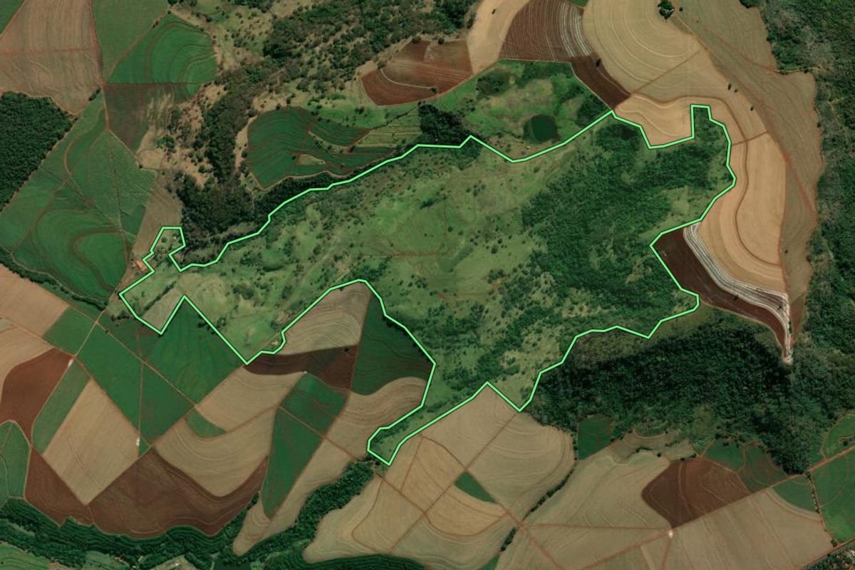 Imagem de satélite do imóvel rural em Luís Antônio (SP), com o contorno declarado no CAR desenhado por cima.