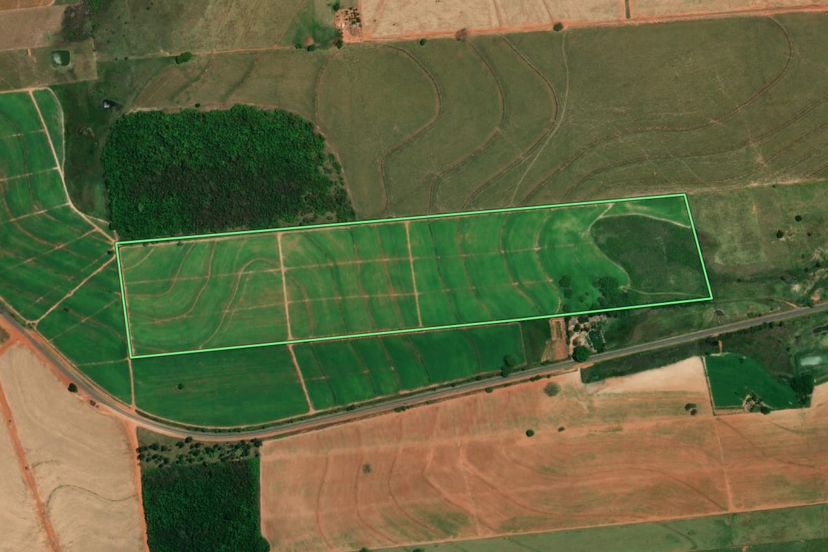 Imagem de satélite do imóvel rural em Luiziânia (SP), com o contorno declarado no CAR desenhado por cima.