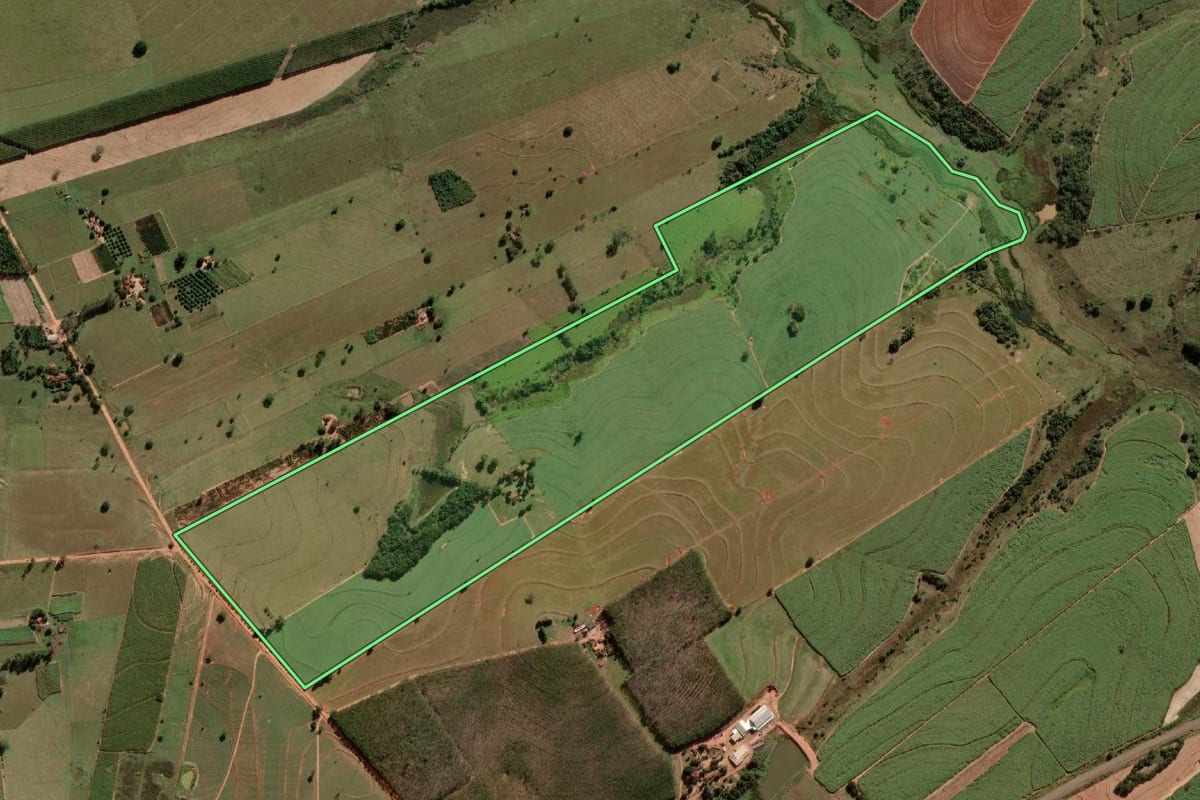 Imagem de satélite do imóvel rural em Luiziânia (SP), com o contorno declarado no CAR desenhado por cima.