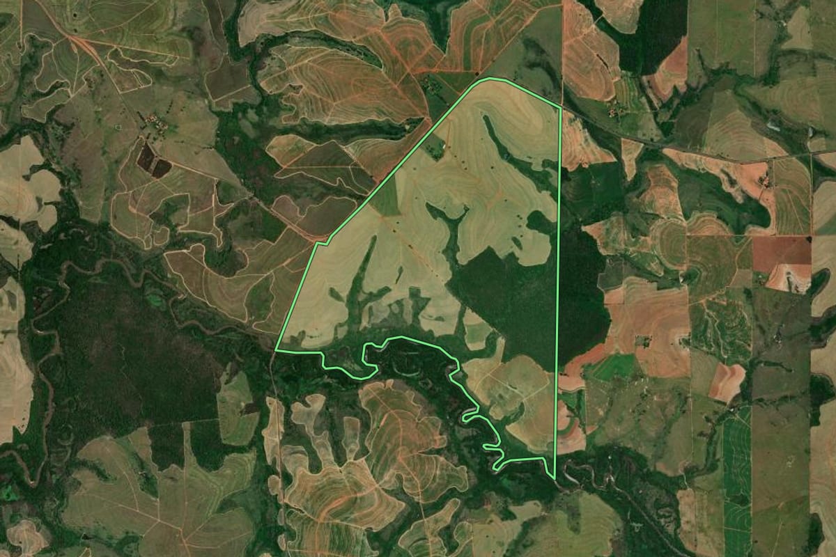 Imagem de satélite do imóvel rural em Luiziânia (SP), com o contorno declarado no CAR desenhado por cima.