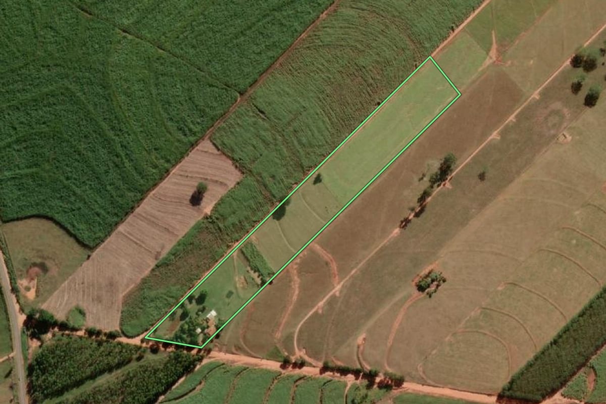 Imagem de satélite do imóvel rural em Luiziânia (SP), com o contorno declarado no CAR desenhado por cima.
