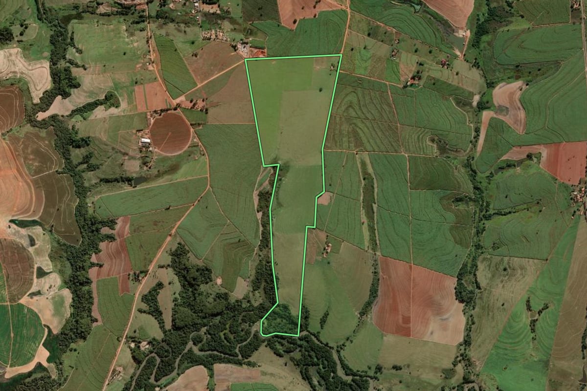 Imagem de satélite do imóvel rural em Luiziânia (SP), com o contorno declarado no CAR desenhado por cima.