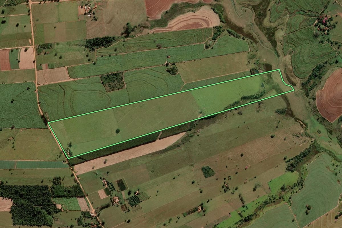 Imagem de satélite do imóvel rural em Luiziânia (SP), com o contorno declarado no CAR desenhado por cima.