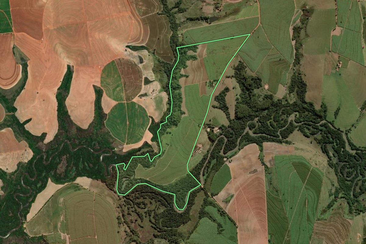 Imagem de satélite do imóvel rural em Luiziânia (SP), com o contorno declarado no CAR desenhado por cima.