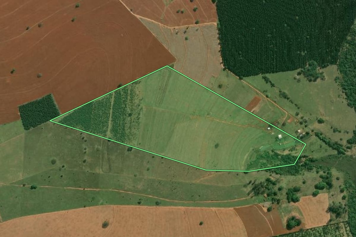 Imagem de satélite do imóvel rural em Lupércio (SP), com o contorno declarado no CAR desenhado por cima.