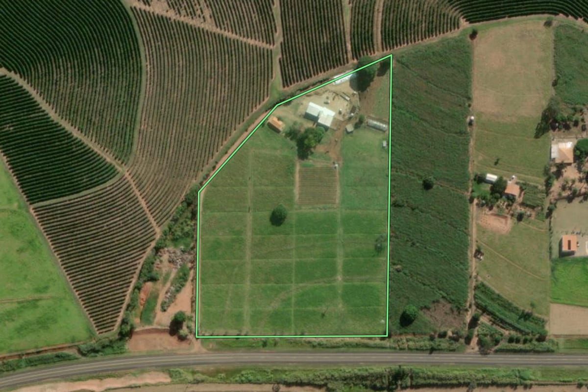 Imagem de satélite do imóvel rural em Lupércio (SP), com o contorno declarado no CAR desenhado por cima.