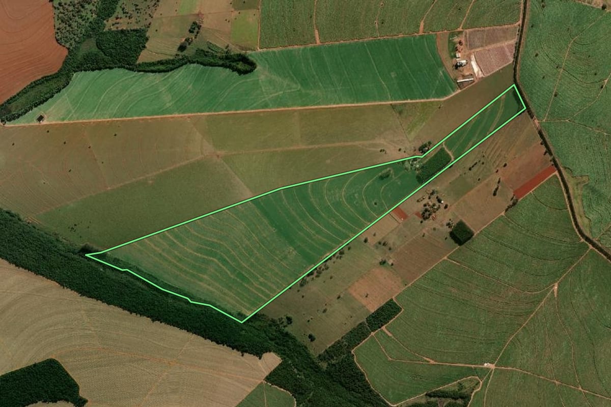 Imagem de satélite do imóvel rural em Lutécia (SP), com o contorno declarado no CAR desenhado por cima.
