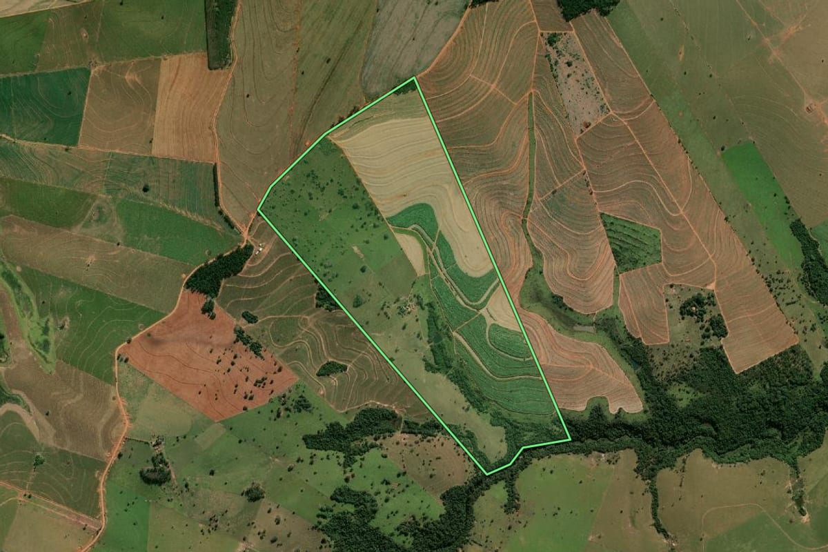 Imagem de satélite do imóvel rural em Lutécia (SP), com o contorno declarado no CAR desenhado por cima.