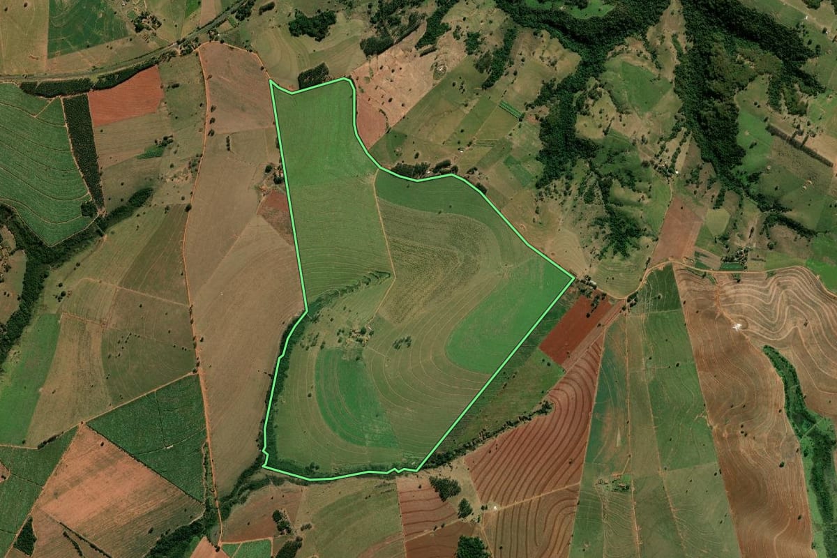 Imagem de satélite do imóvel rural em Lutécia (SP), com o contorno declarado no CAR desenhado por cima.