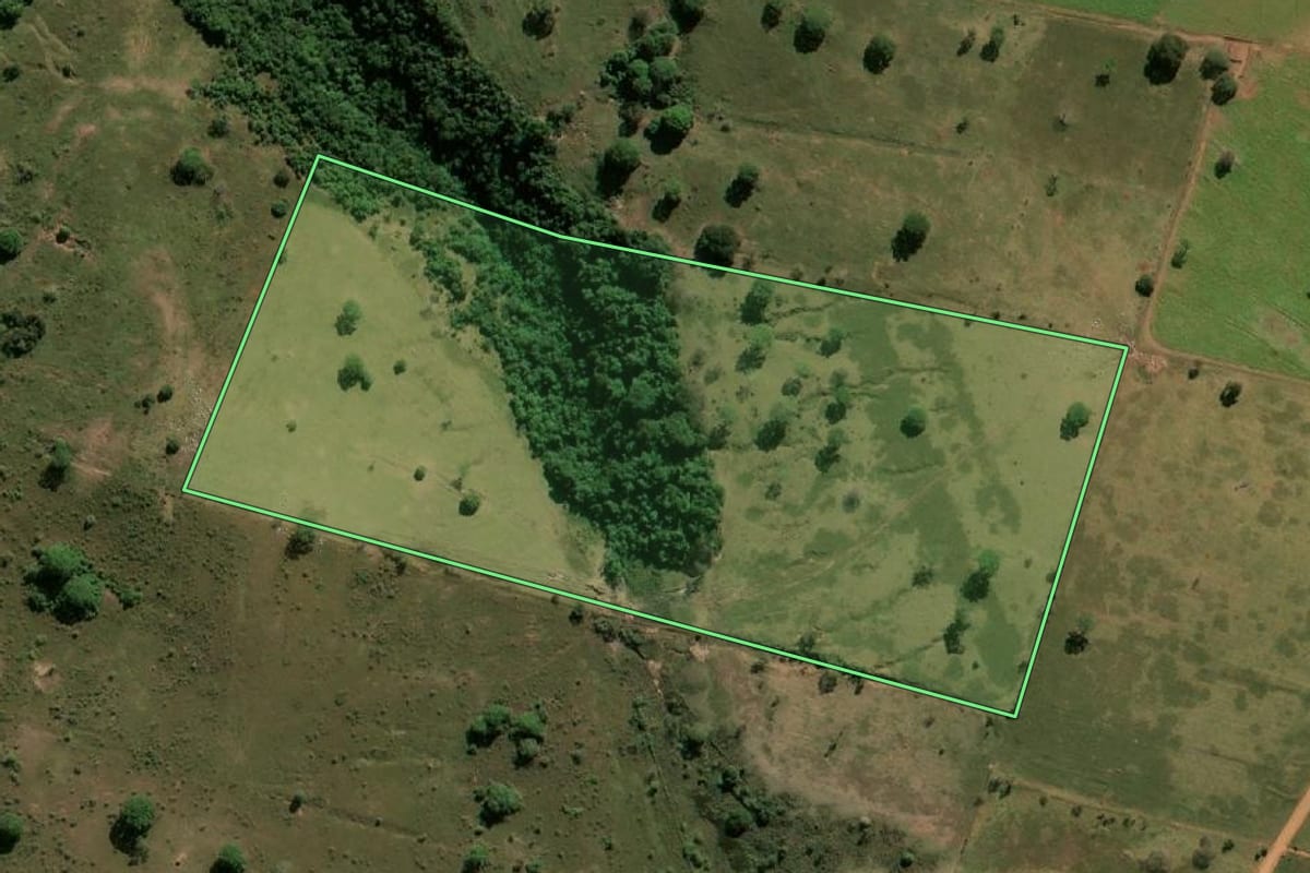 Imagem de satélite do imóvel rural em Lutécia (SP), com o contorno declarado no CAR desenhado por cima.