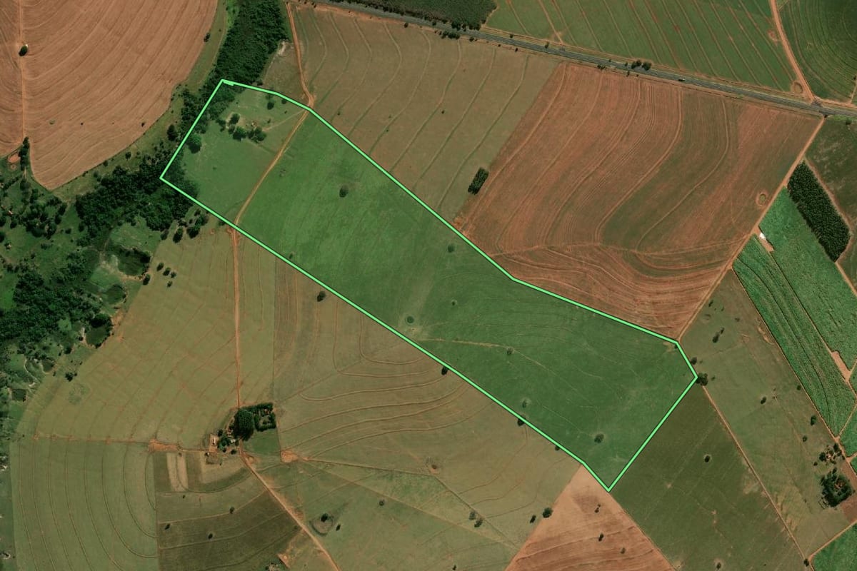 Imagem de satélite do imóvel rural em Lutécia (SP), com o contorno declarado no CAR desenhado por cima.