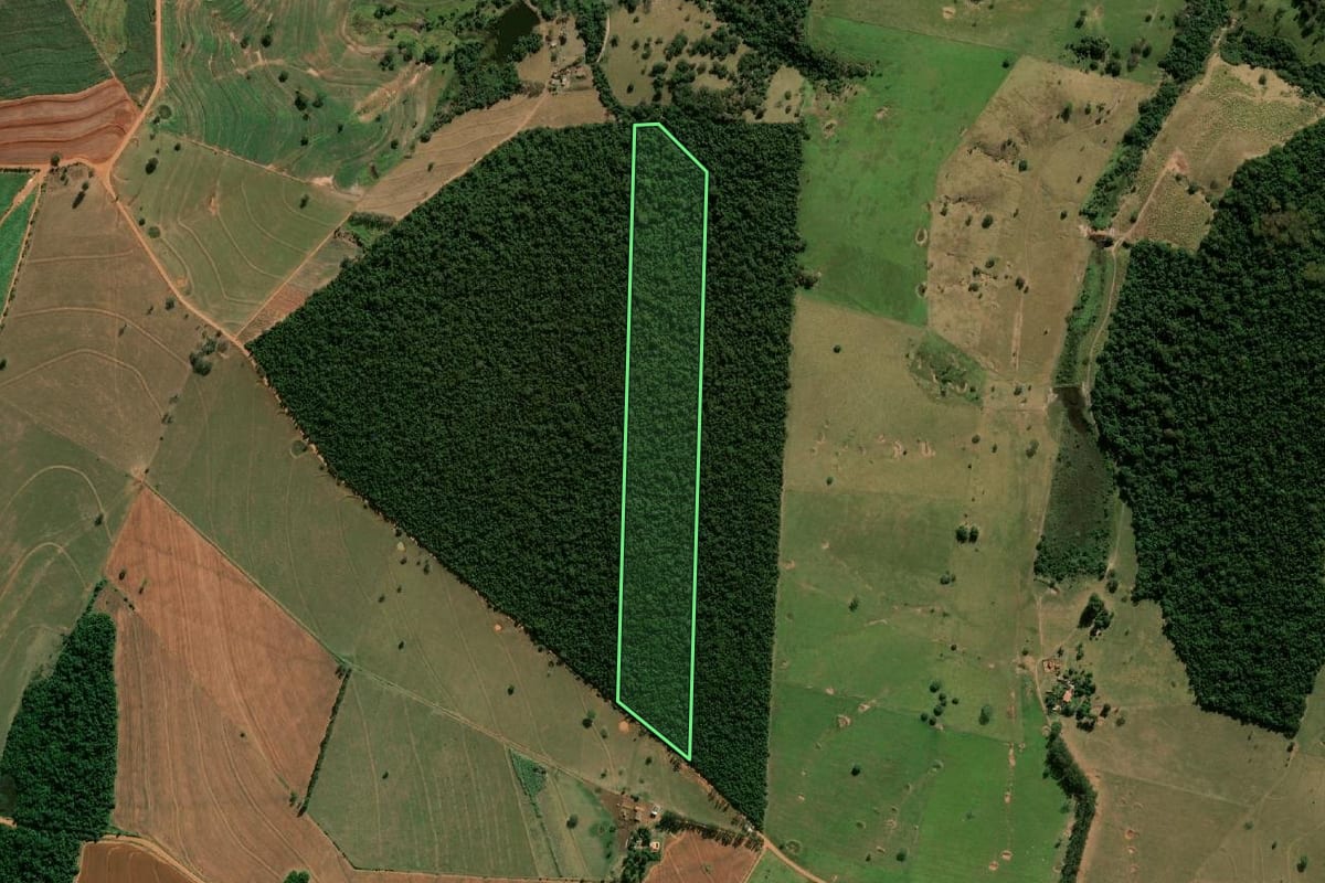 Imagem de satélite do imóvel rural em Lutécia (SP), com o contorno declarado no CAR desenhado por cima.