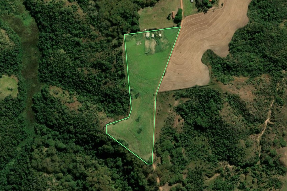 Imagem de satélite do imóvel rural em Lutécia (SP), com o contorno declarado no CAR desenhado por cima.