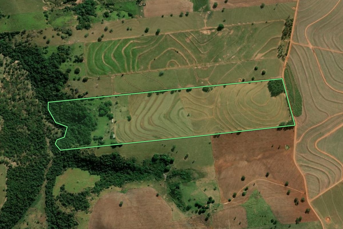 Imagem de satélite do imóvel rural em Lutécia (SP), com o contorno declarado no CAR desenhado por cima.