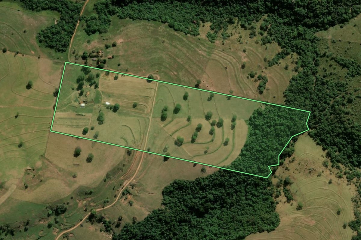 Imagem de satélite do imóvel rural em Lutécia (SP), com o contorno declarado no CAR desenhado por cima.