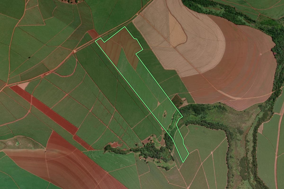 Imagem de satélite do imóvel rural em Macatuba (SP), com o contorno declarado no CAR desenhado por cima.