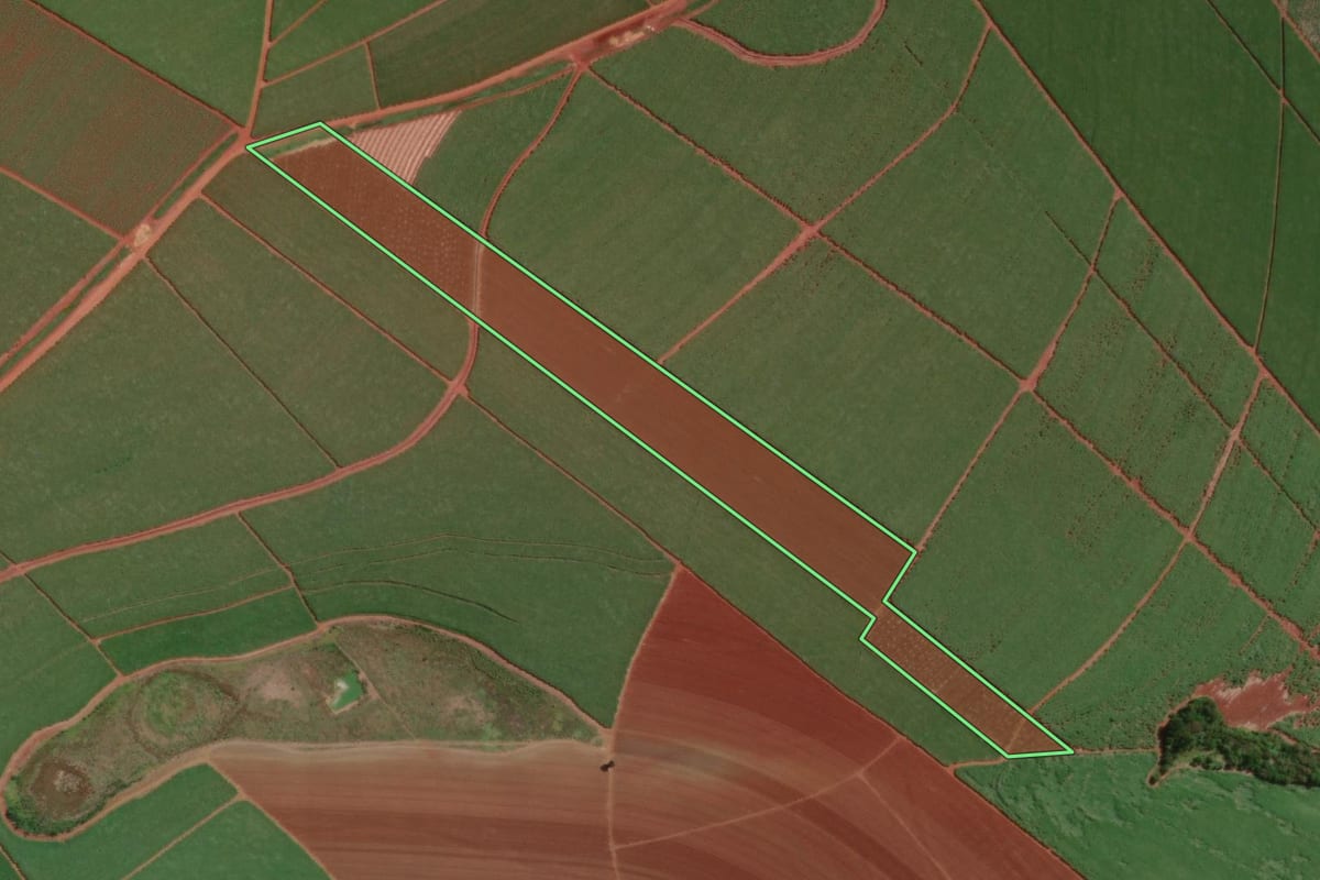 Imagem de satélite do imóvel rural em Macatuba (SP), com o contorno declarado no CAR desenhado por cima.