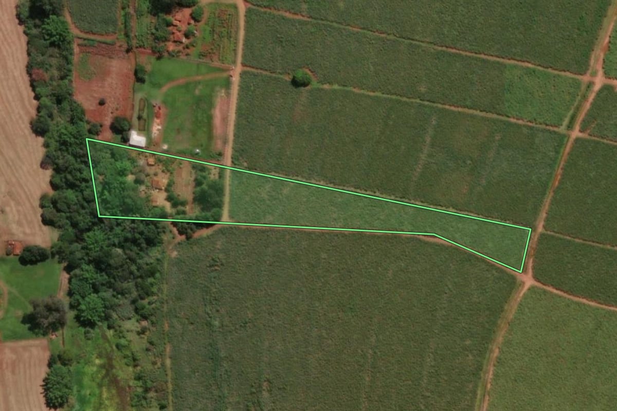 Imagem de satélite do imóvel rural em Macatuba (SP), com o contorno declarado no CAR desenhado por cima.