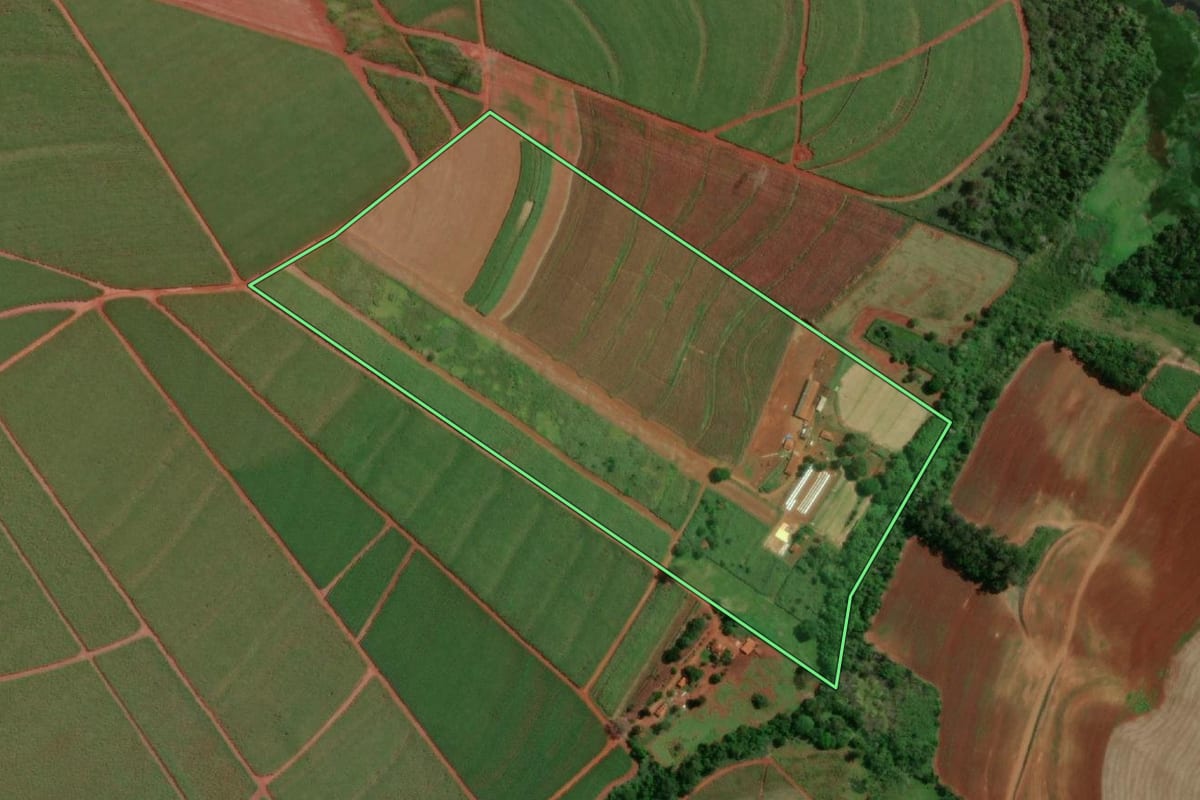 Imagem de satélite do imóvel rural em Macatuba (SP), com o contorno declarado no CAR desenhado por cima.