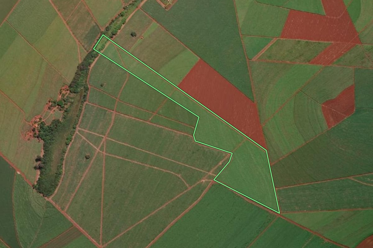 Imagem de satélite do imóvel rural em Macatuba (SP), com o contorno declarado no CAR desenhado por cima.
