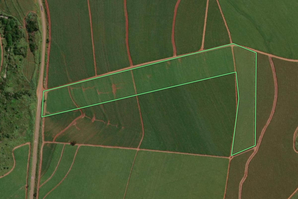 Imagem de satélite do imóvel rural em Macatuba (SP), com o contorno declarado no CAR desenhado por cima.
