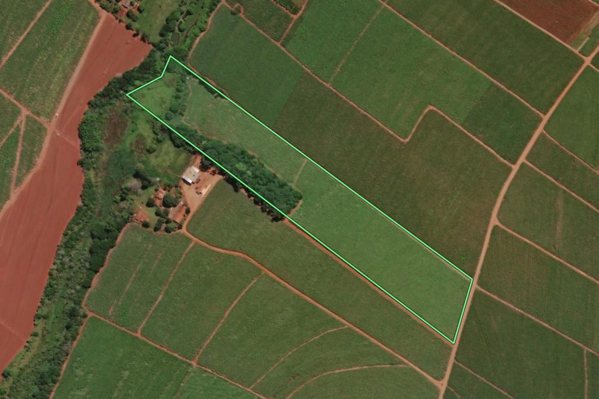 Imagem de satélite do imóvel rural em Macatuba (SP), com o contorno declarado no CAR desenhado por cima.