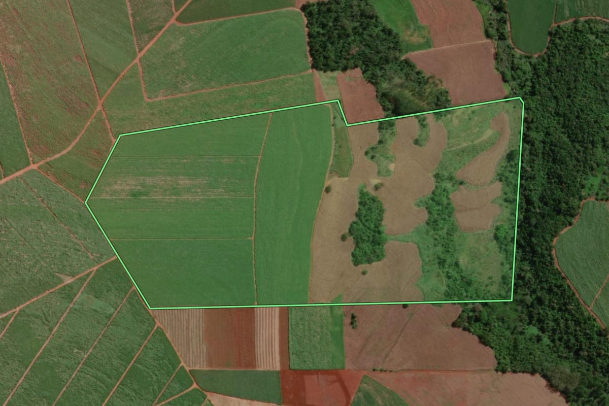 Imagem de satélite do imóvel rural em Macatuba (SP), com o contorno declarado no CAR desenhado por cima.