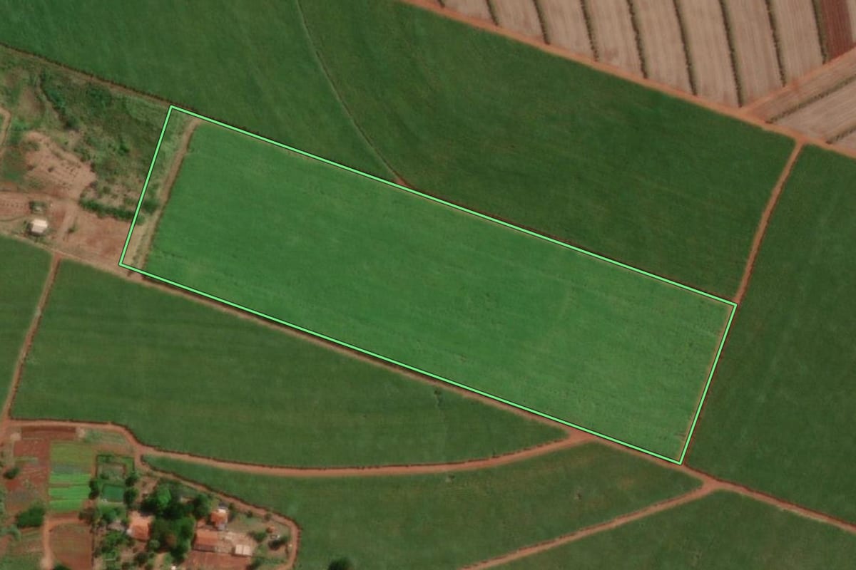 Imagem de satélite do imóvel rural em Macatuba (SP), com o contorno declarado no CAR desenhado por cima.