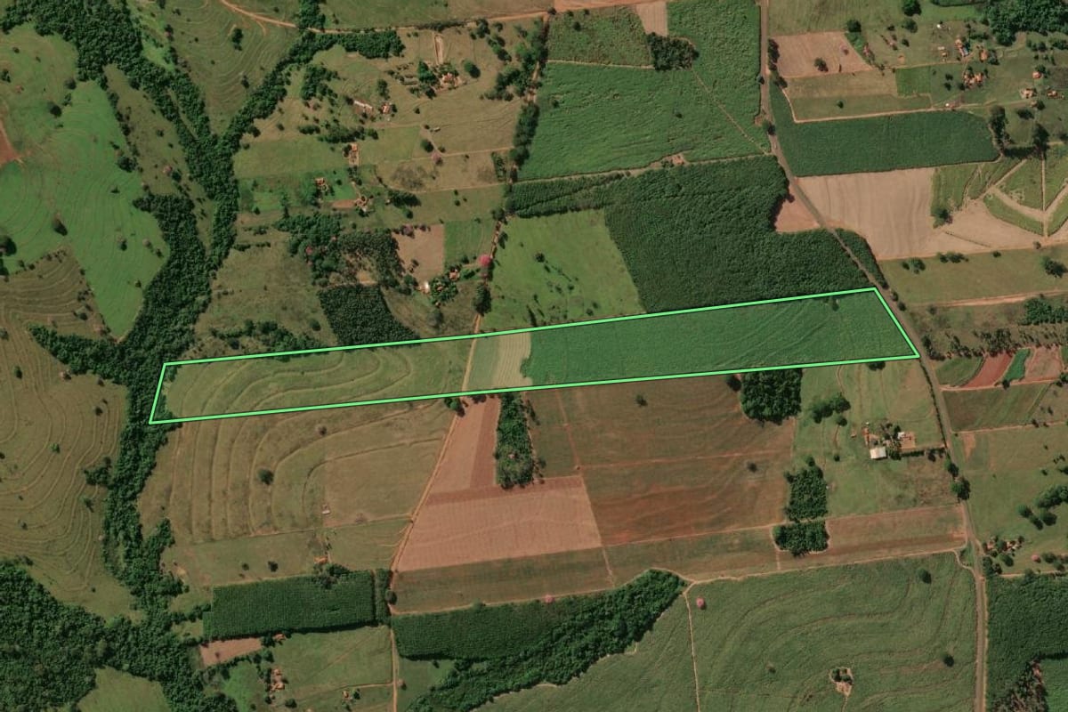 Imagem de satélite do imóvel rural em Macaubal (SP), com o contorno declarado no CAR desenhado por cima.