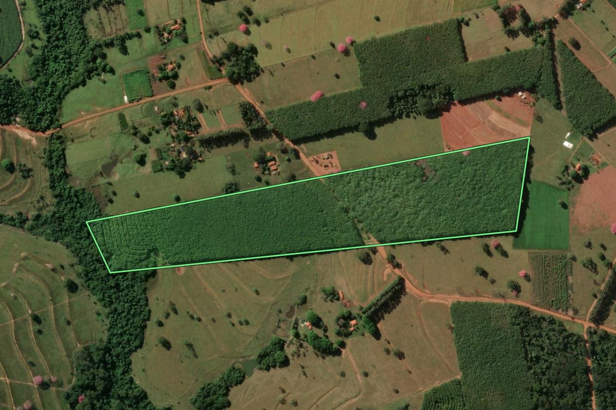 Imagem de satélite do imóvel rural em Macaubal (SP), com o contorno declarado no CAR desenhado por cima.