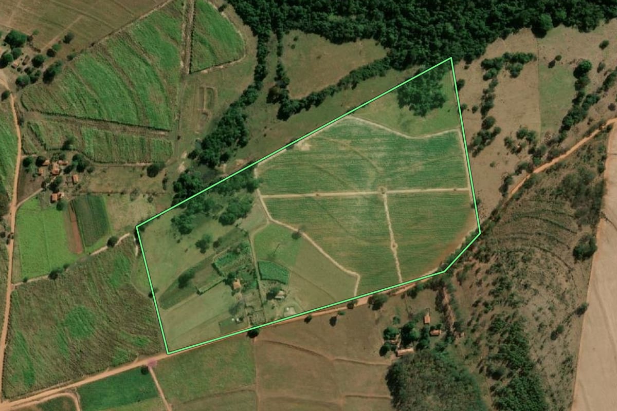 Imagem de satélite do imóvel rural em Macaubal (SP), com o contorno declarado no CAR desenhado por cima.