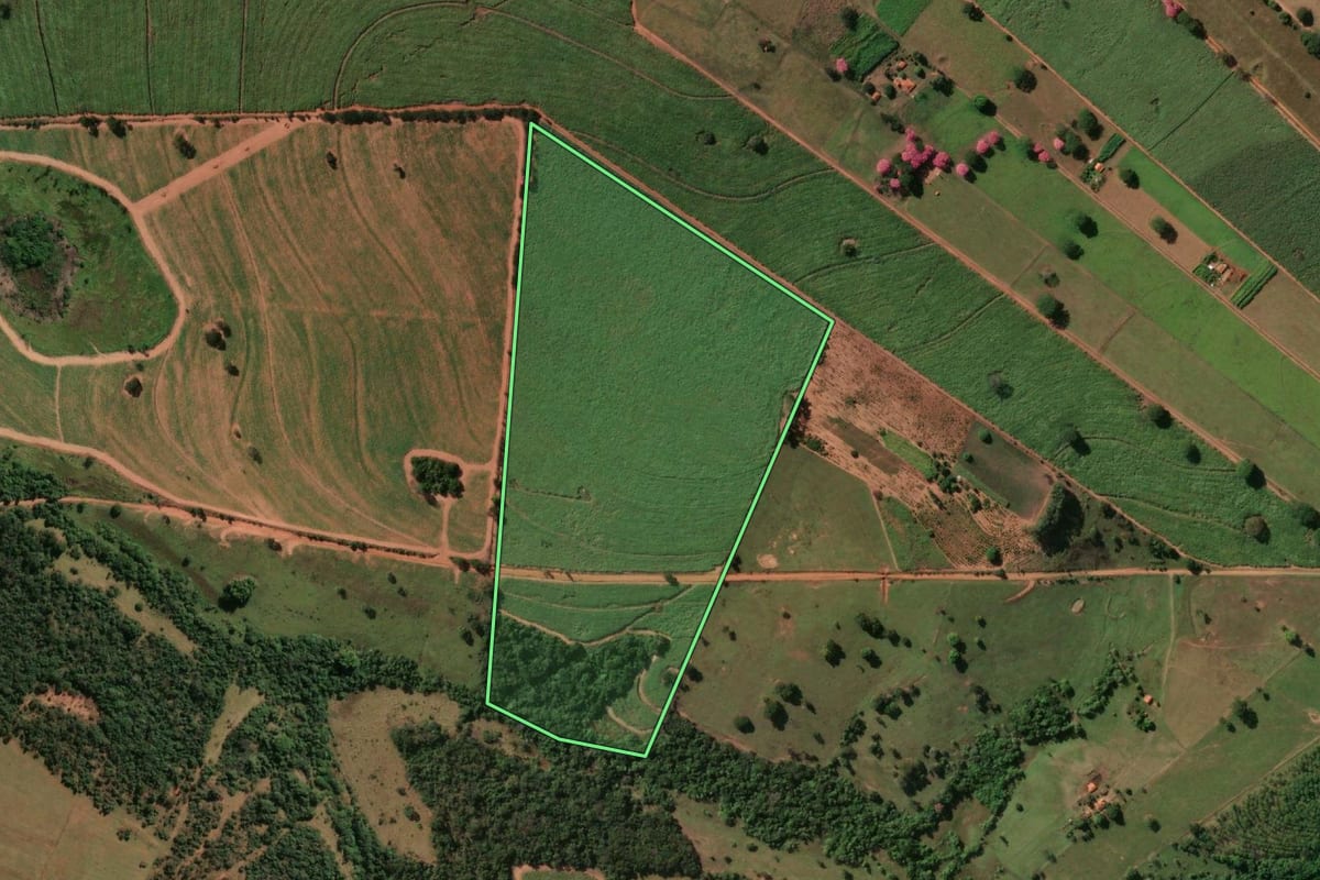 Imagem de satélite do imóvel rural em Macaubal (SP), com o contorno declarado no CAR desenhado por cima.