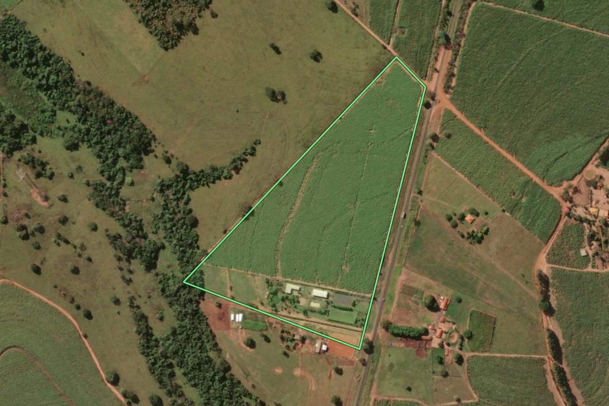 Imagem de satélite do imóvel rural em Macaubal (SP), com o contorno declarado no CAR desenhado por cima.