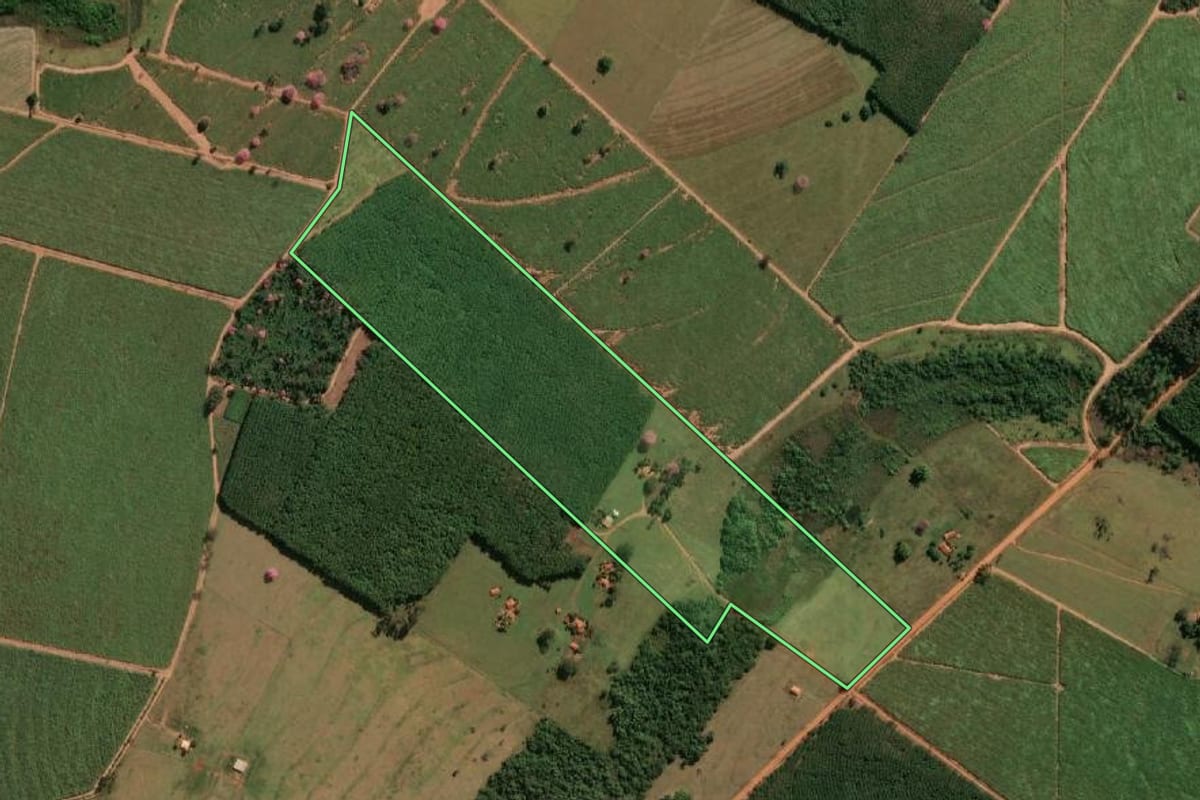 Imagem de satélite do imóvel rural em Macaubal (SP), com o contorno declarado no CAR desenhado por cima.
