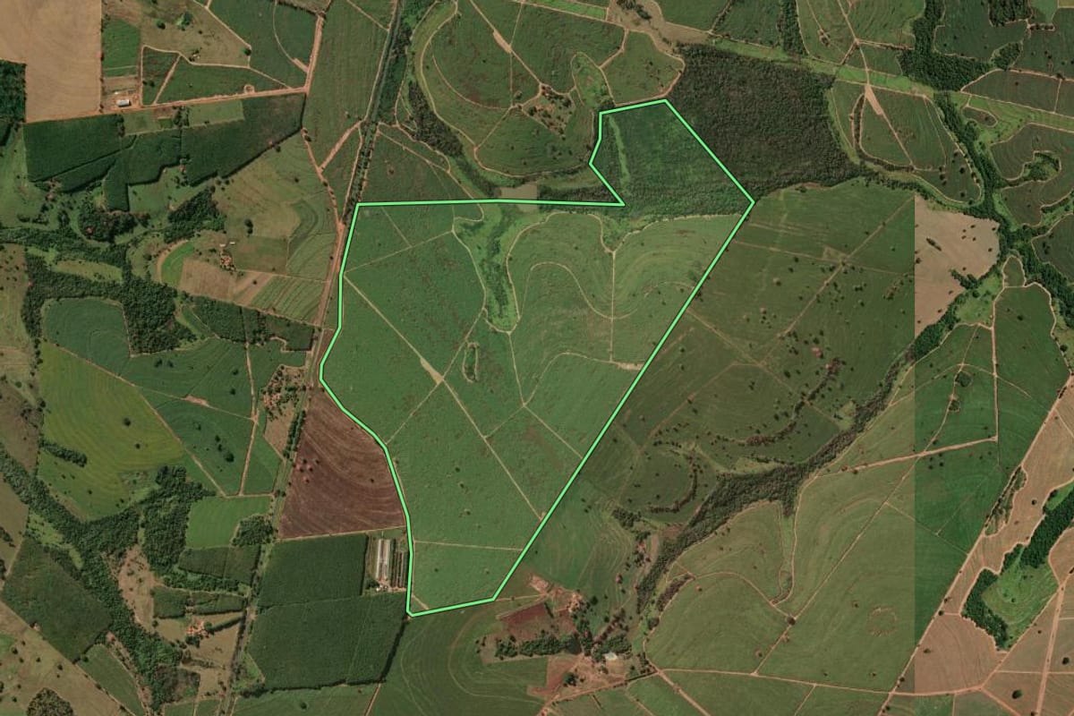 Imagem de satélite do imóvel rural em Macaubal (SP), com o contorno declarado no CAR desenhado por cima.