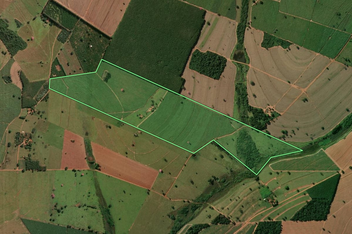 Imagem de satélite do imóvel rural em Macaubal (SP), com o contorno declarado no CAR desenhado por cima.